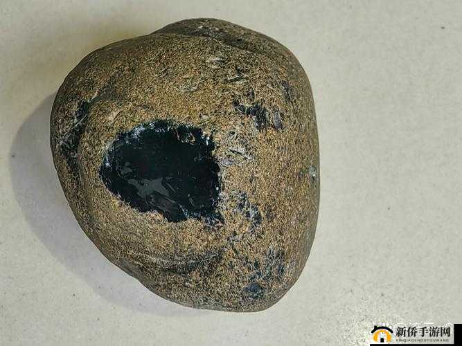 所有黄 p 网站品赏网：探索未知的世界