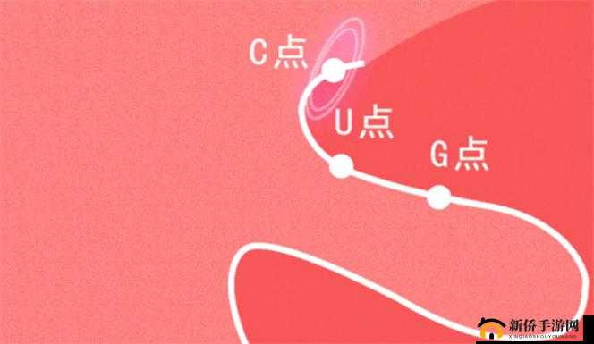 怎么用卫生纸自 W 到高 C：私密技巧分享