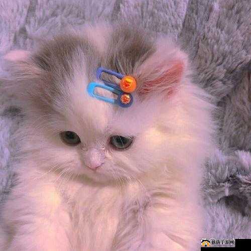 奶头像花生米一样大- 原来它这么小