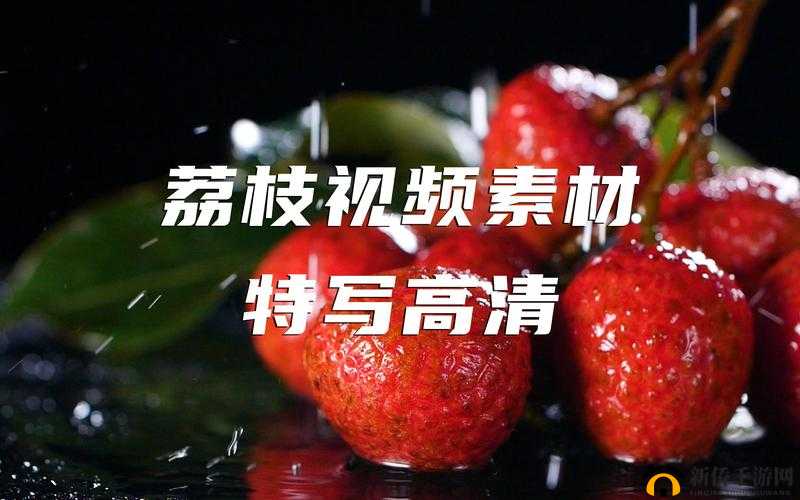 荔枝视频在线观看高清完整版：畅享视觉盛宴