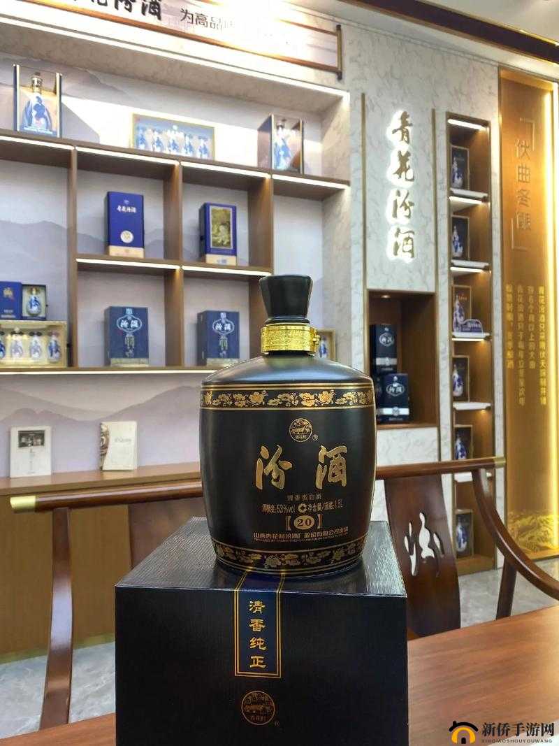 37 人文大但汾：独特的魅力与价值