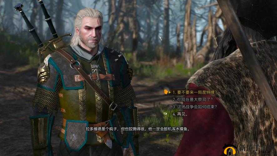 巫师之昆特牌：北方领域金卡深度解析与评估