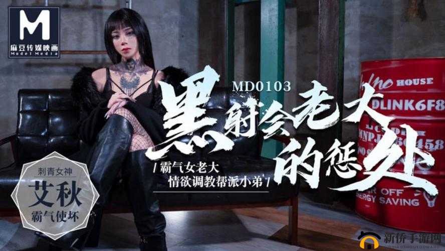 艾秋老大处罚 md0103 连接相关内容解读