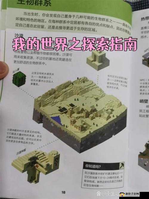 试看 20 分钟：探索受的世界