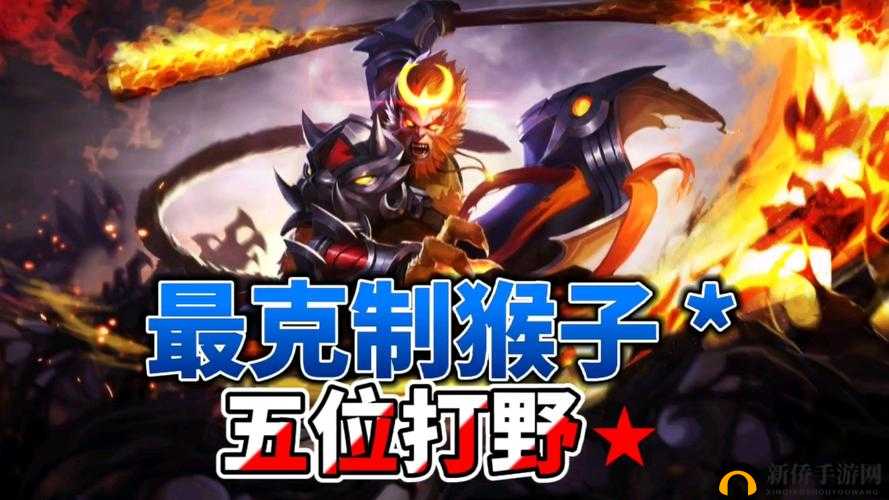 打牌克生猴子的视频大全：精彩内容全在这