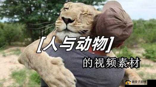 人物与动物交互在钱里叫什么：奇妙现象