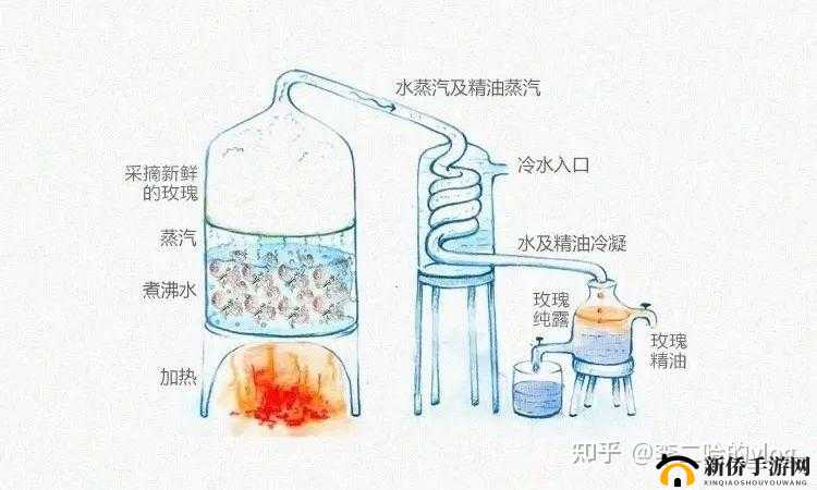 缺氧蒸馏系统玩法详解：水蒸馏过程解析