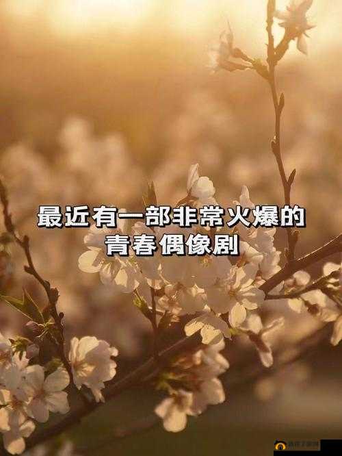 花季传媒：记录青春的美好与感动