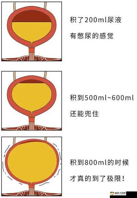 0 到 100 分的憋尿规则有附加刑：挑战你的生理极限