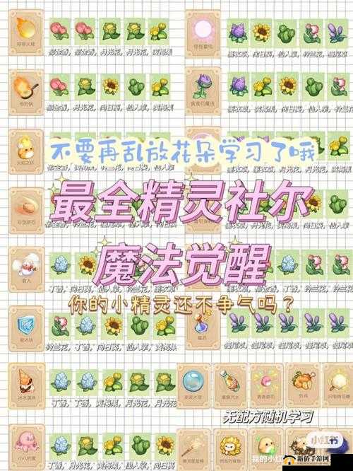 精灵与魔法的奇幻之旅，深入探索第二十六章的挑战与制胜策略