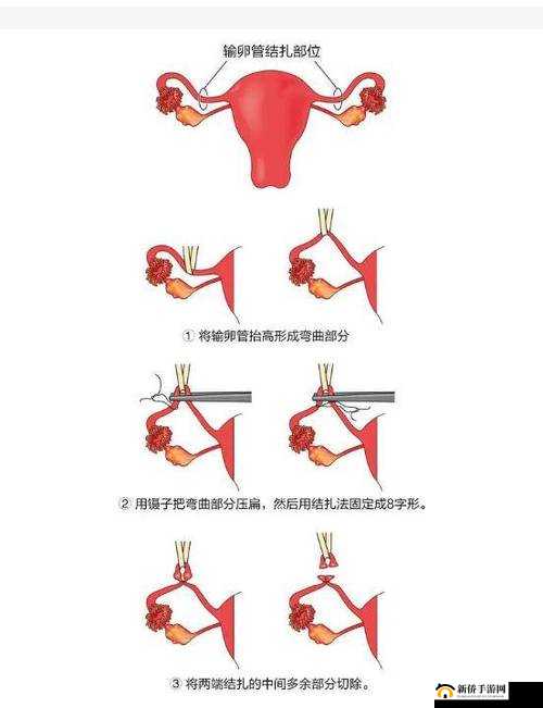 娇小深喉：探秘女性性技巧的奥秘
