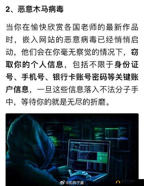 123456 黄色网站：无尽的诱惑与风险
