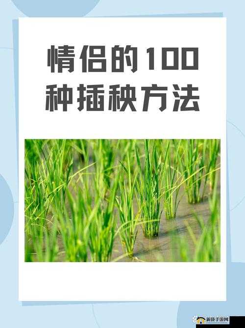 夫妻插秧一百种方法：实用技巧与经验分享大汇总