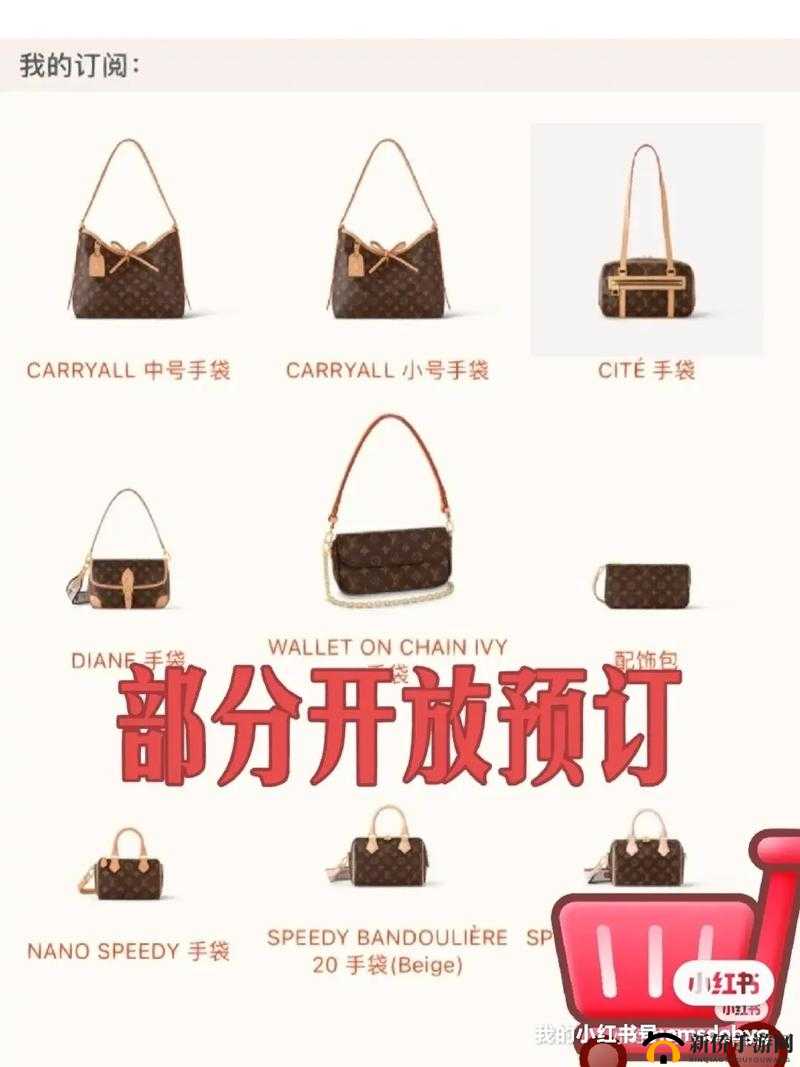 探秘 LV 日本官网官方网站中文版：开启奢华之旅的密码