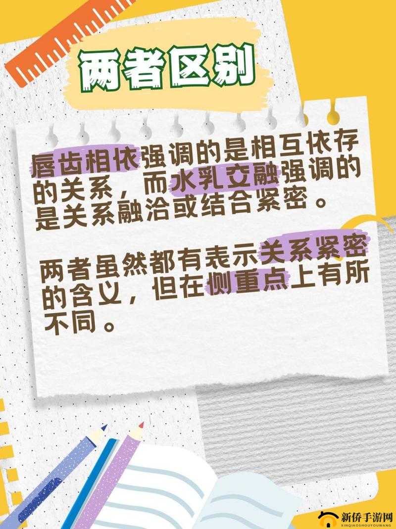 水乳交融唇齿相依：共筑和谐美好关系新篇章