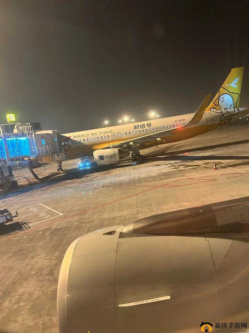 中国小鲜肉 GARY2022 飞机：带你领略不一样的天空之旅