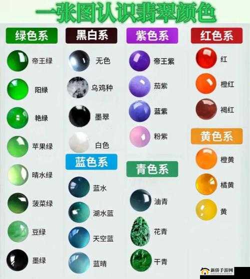 x 综合色网：探索色彩与视觉的奇妙世界