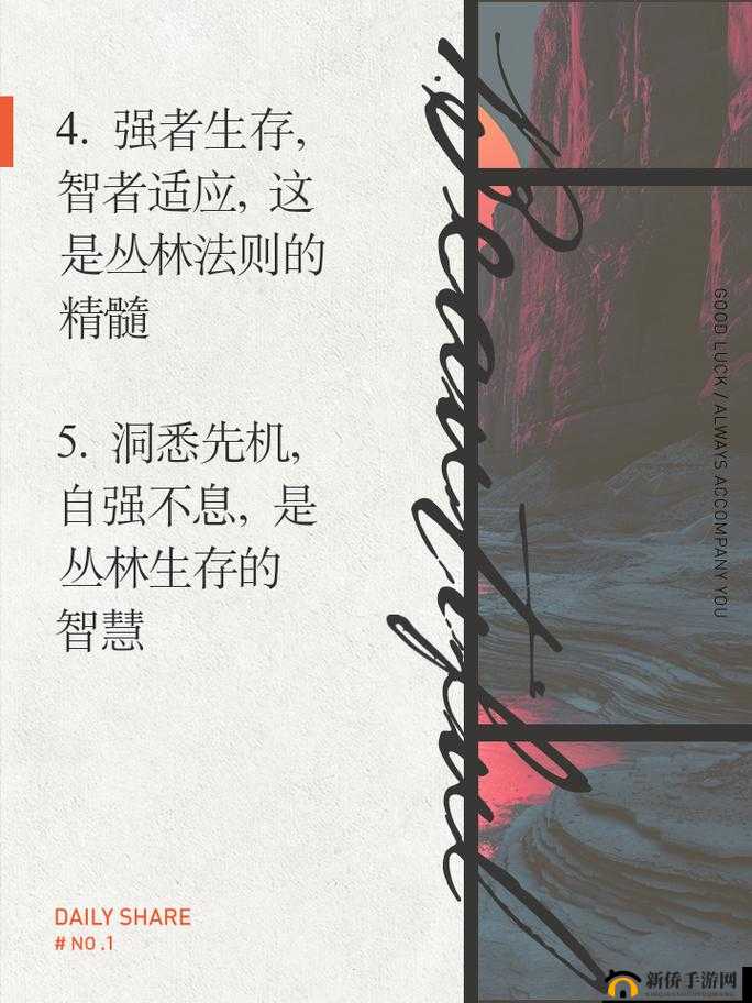 丛林法则，对自然界生存智慧与竞争策略的深度剖析与解读