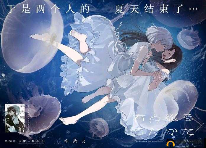 必看哔哩哔哩：这里有你不容错过的精彩内容