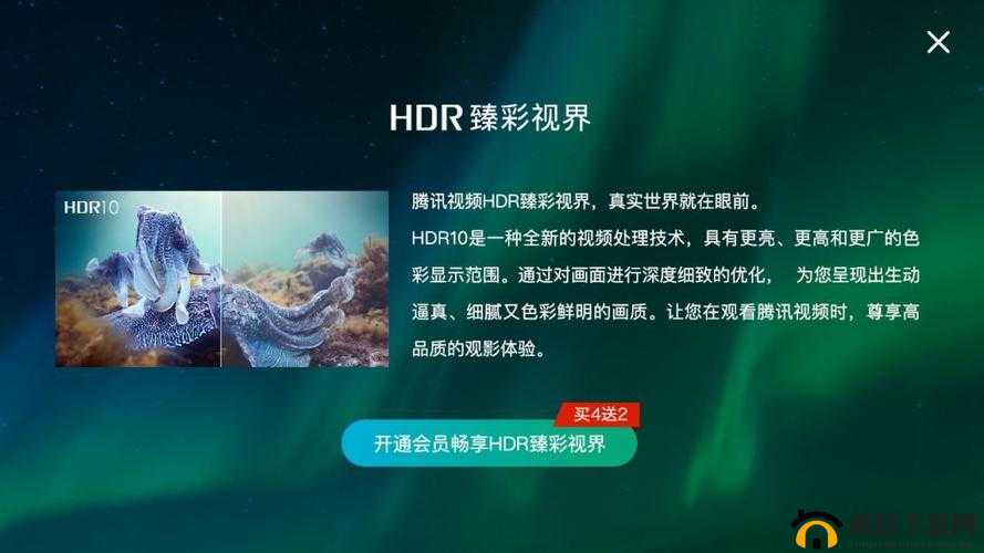 无码视频网站：带来极致视觉享受