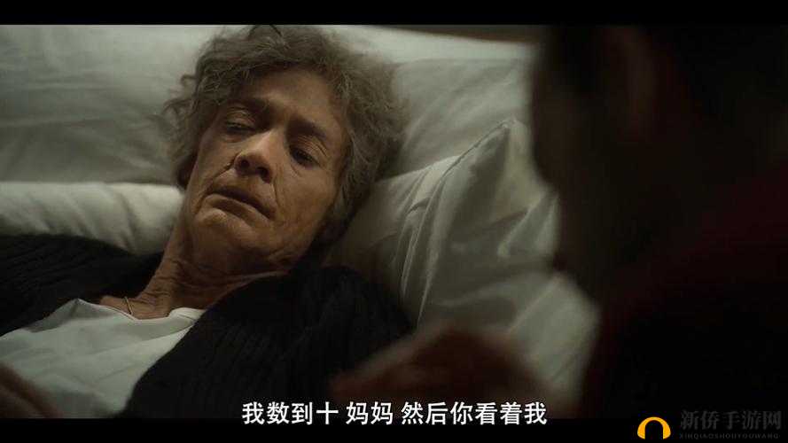 探索 xxx69 内谢背后的奇妙世界与深意
