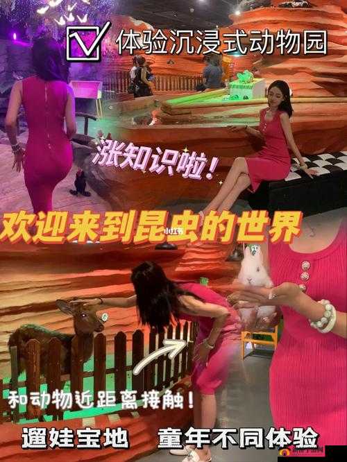 超碰 92 带来的别样精彩与独特体验