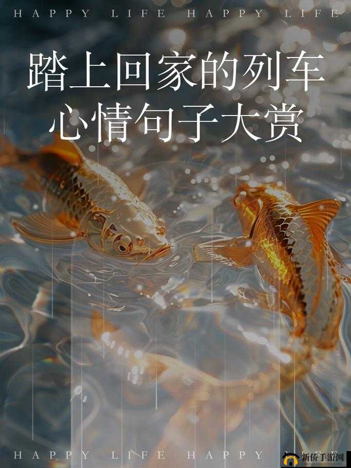 2024 海角最新回家路：心向温暖归途的全新征程