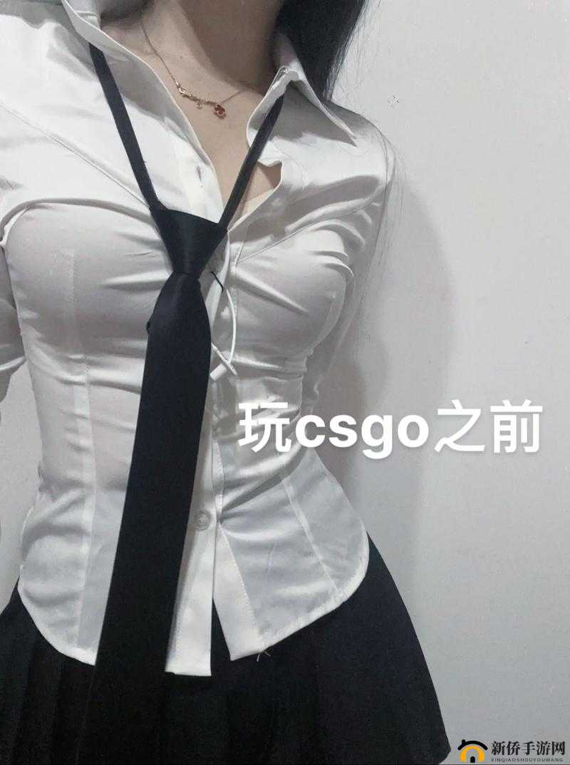 揭秘暴躁老阿姨 csgo 技巧：全面解析其独特玩法与致胜之道