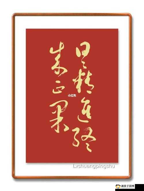 日日精进久久为功：持续积累方能成就非凡事业