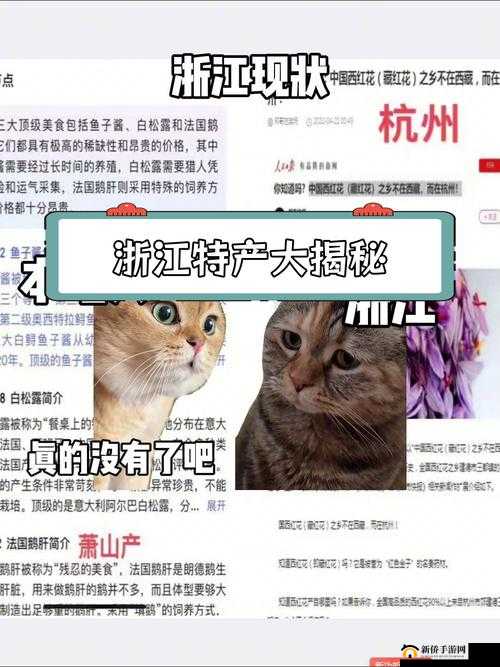 国产一产区二产区：探寻其独特魅力与发展前景