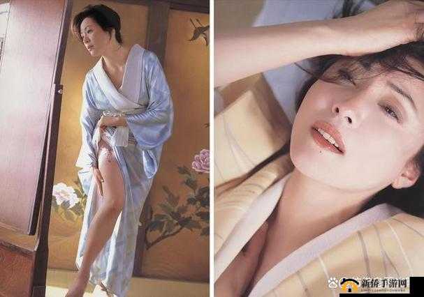 日本色倩网：探寻其中独特魅力与精彩故事