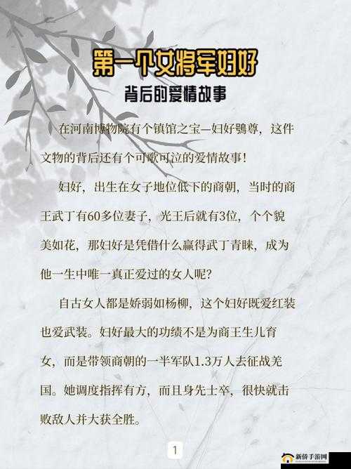 她开始慢迎迎合小说：一部精彩绝伦的情感故事