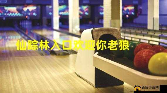 xzl仙踪林视频入口视频欢迎您：这里有你意想不到的精彩内容