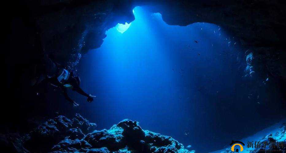ATLANTICOCEAN 巨大：探索神秘海洋的未知世界