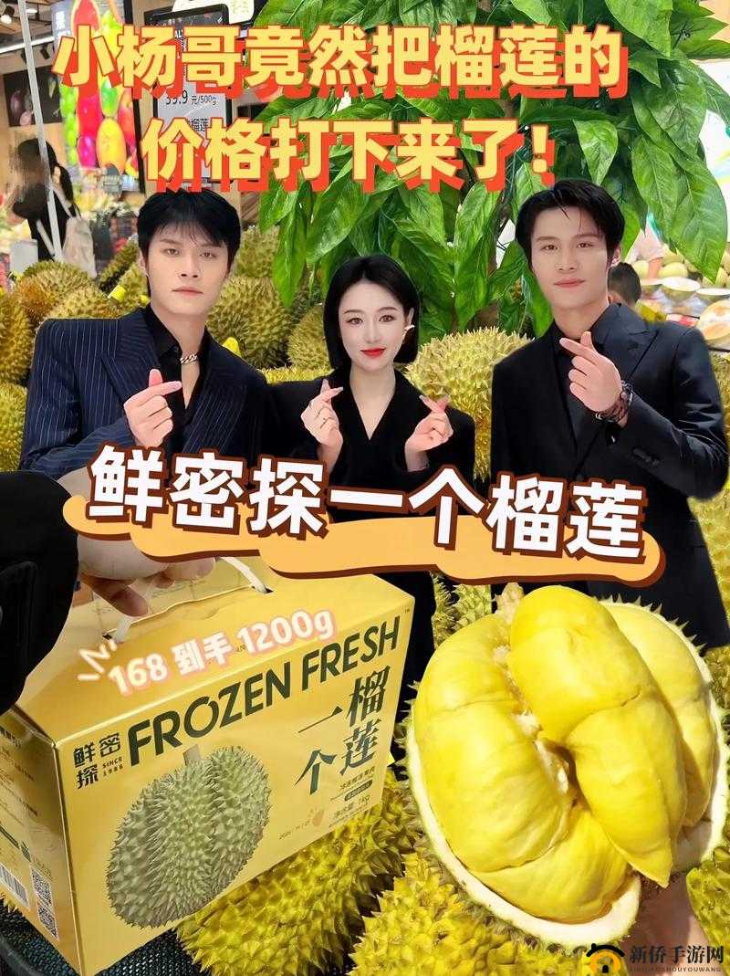 榴莲推广 APP 网站入口：开启榴莲美味的奇妙之旅