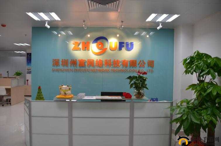 深圳蜜桃网络科技有限公司：专注创新科技引领行业发展