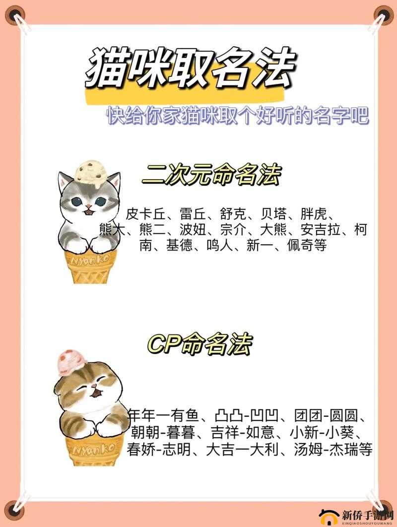 猫咪www 最新地域网名怎么取：探寻有趣的取名奥秘与思路