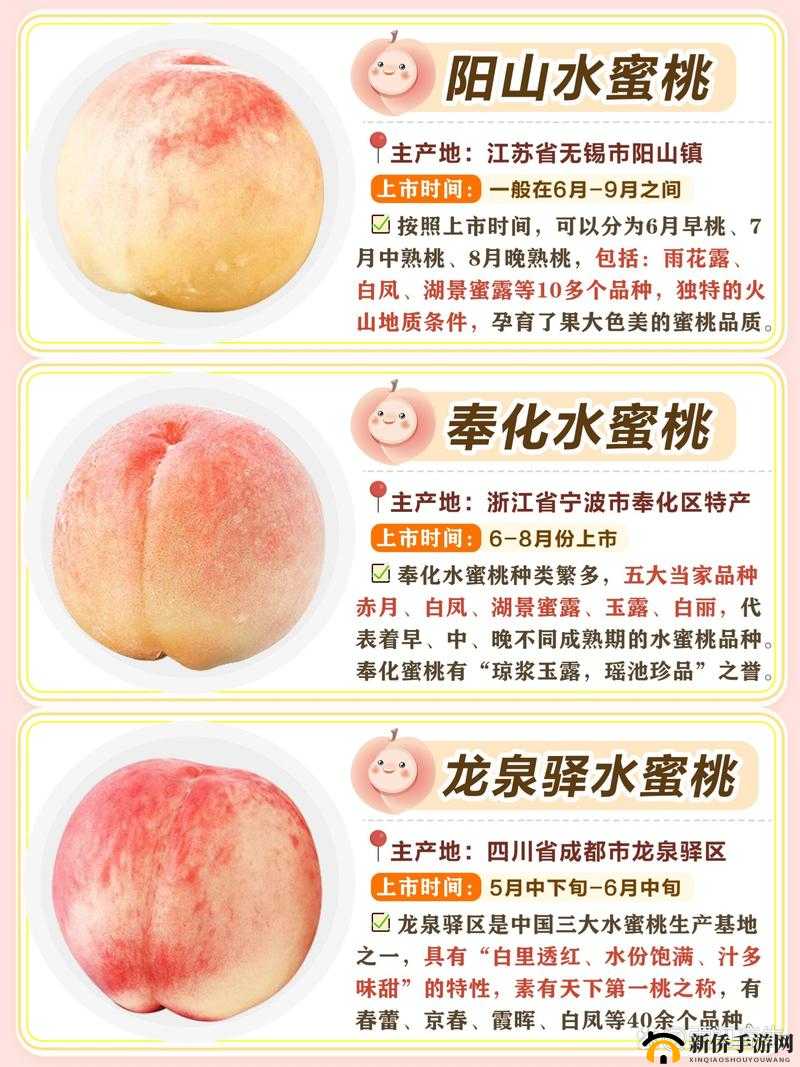 国精产品水蜜桃 hd：带你领略水蜜桃的独特魅力