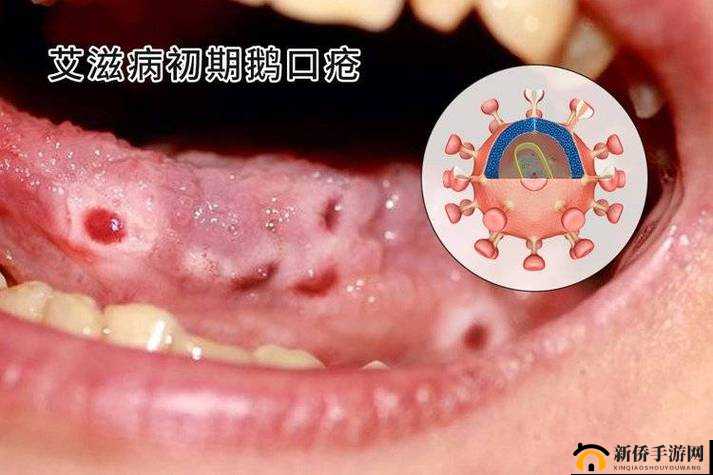 老妇进行肛交这一特殊行为的相关描述