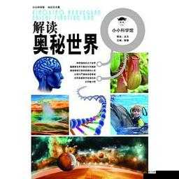 黄无码相关内容：独特视角解读其奥秘与影响