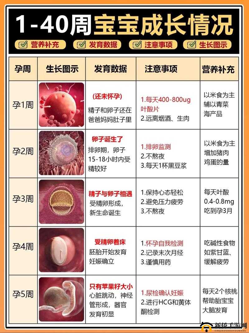 孕期体验：好爽好紧别夹的奇妙感受