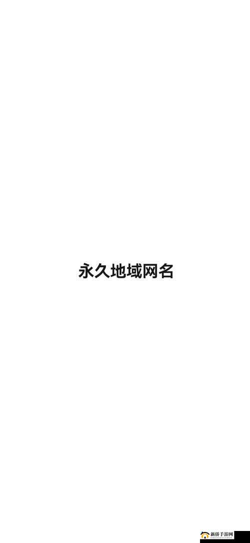 yp51111 最新地域网名是什么：探索未知的网络世界