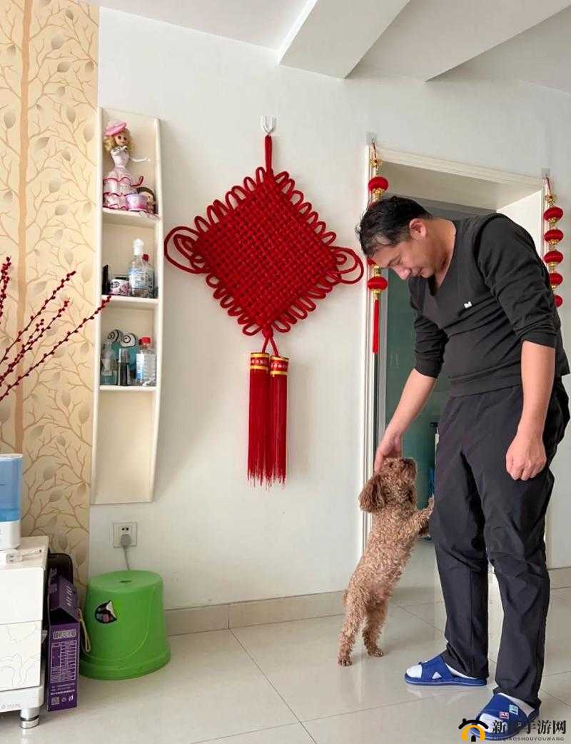 和姑父开了房子怎么办：这是一个极其复杂和尴尬的情况该如何面对