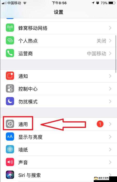 IOS玩家必看！王者荣耀下载后频繁闪退？这里有高效解决妙招！