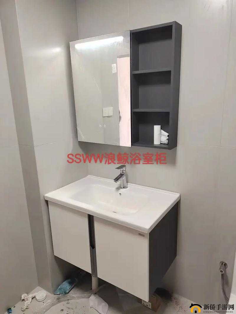 国产 SSWWSSWW ：引领家居卫浴新潮流的卓越之选