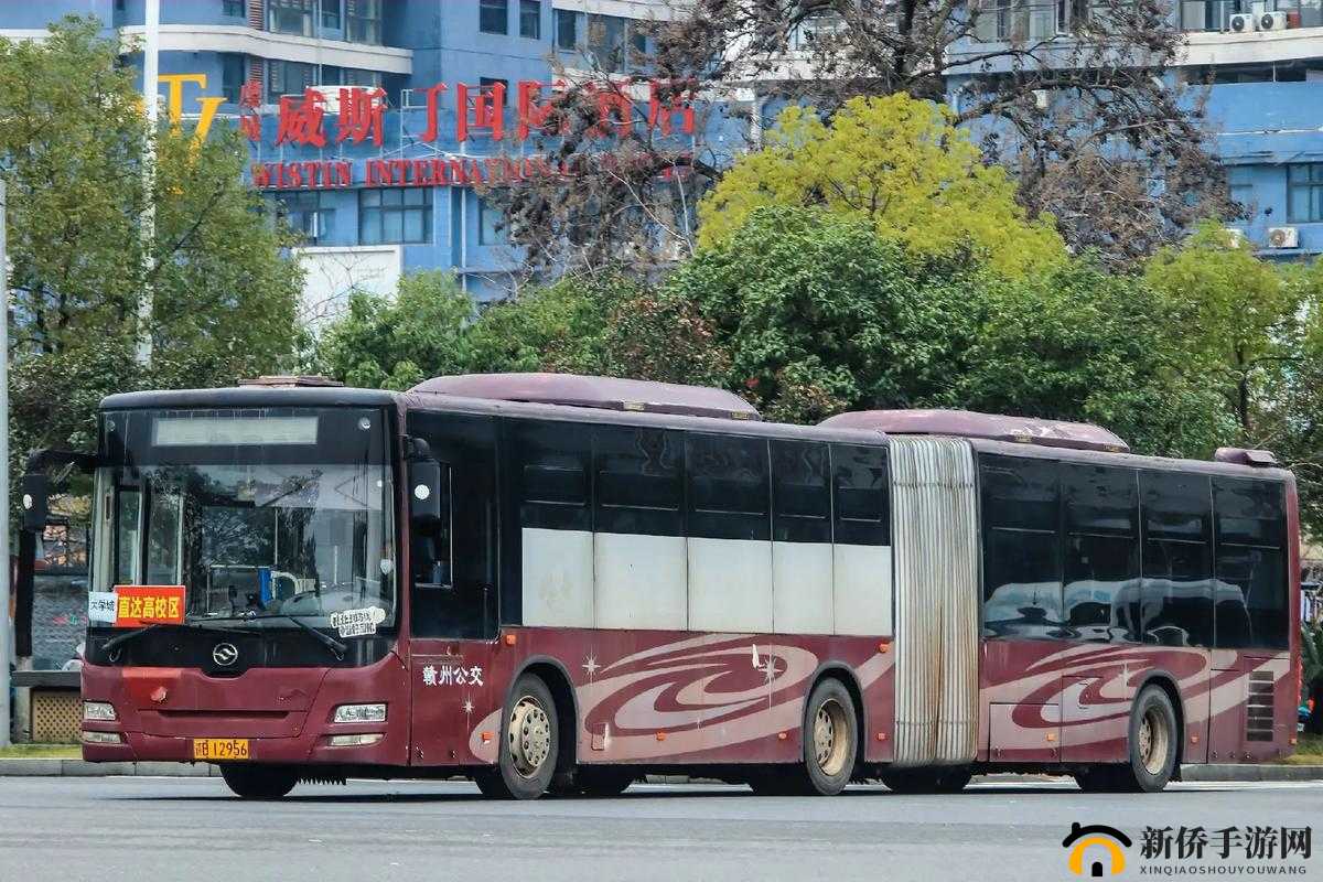 公交车上的小黄说说 1000 字：一段独特的旅程见闻