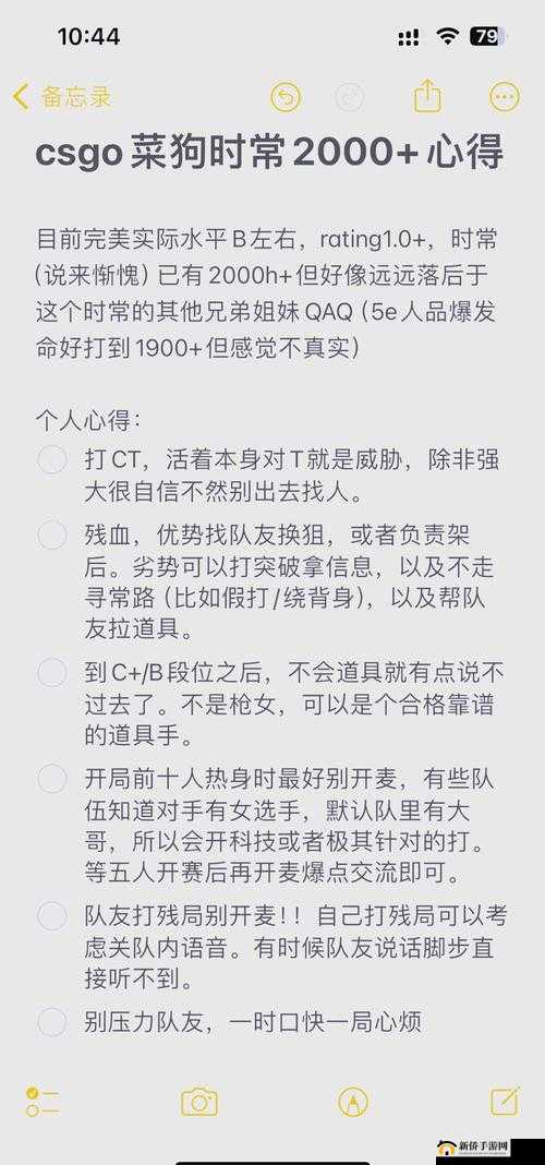 暴躁老姐的 csgo 心得小说：一个女玩家的游戏心路历程