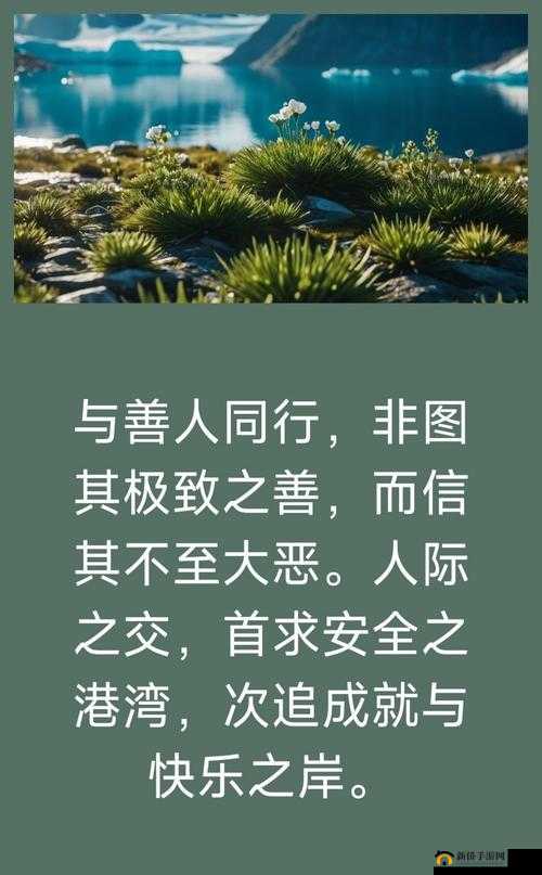 Z0OZO0 人善之交另类：探索与众不同的人际交往世界