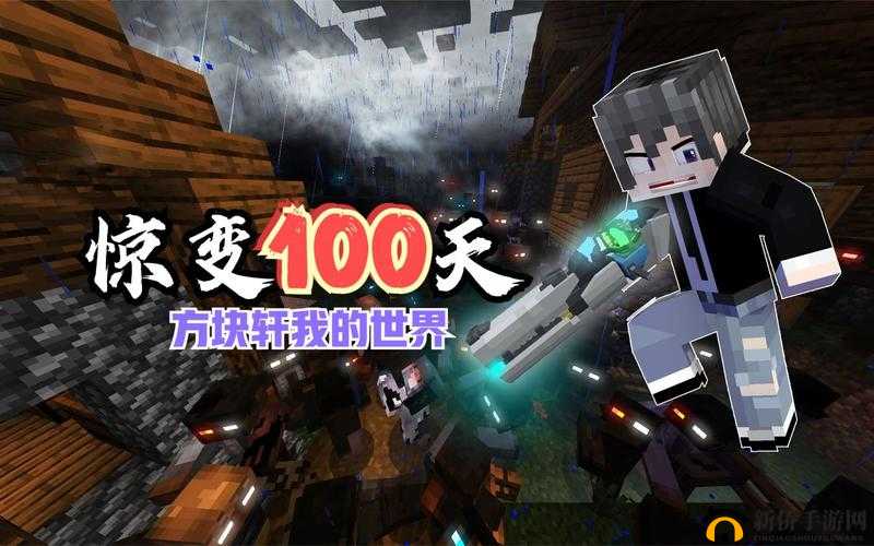 蘑菇视频老款：带你领略不一样的视频世界