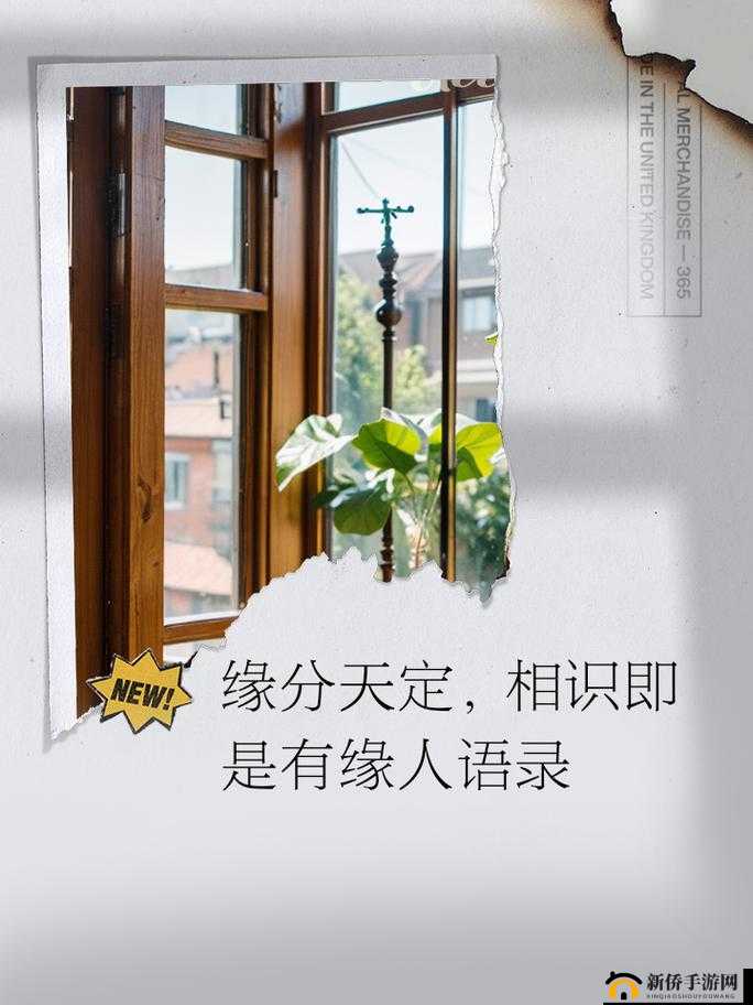 舒亚和子豪的第一次相遇是哪一集：缘分起始，浪漫初遇